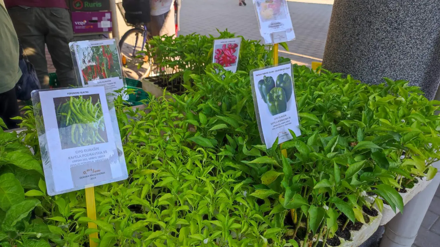 tržnica prelog,29.6 (30) tržnica prelog,29.6 (30)