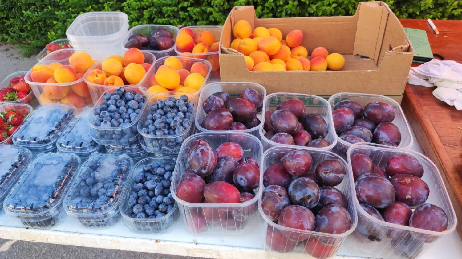 tržnica prelog,29.6 (31) tržnica prelog,29.6 (31)