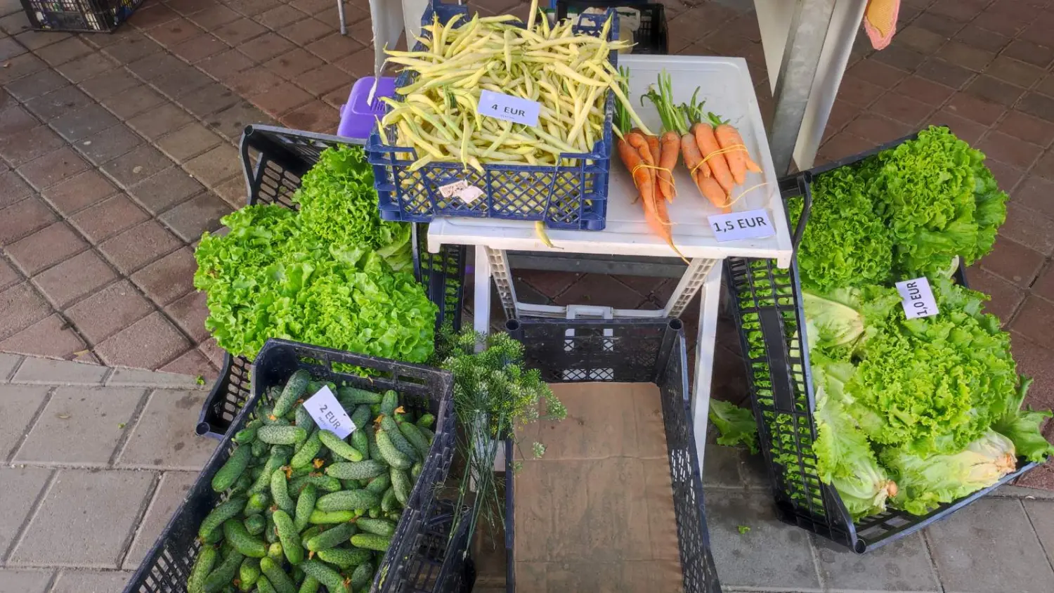 tržnica prelog,29.6 (32) tržnica prelog,29.6 (32)