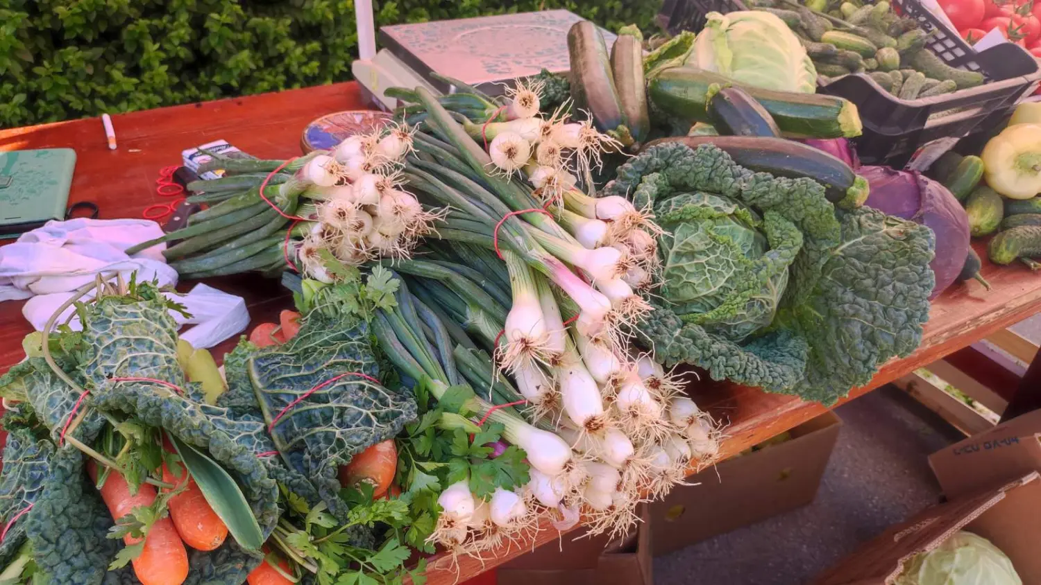 tržnica prelog,29.6 (4) tržnica prelog,29.6 (4)