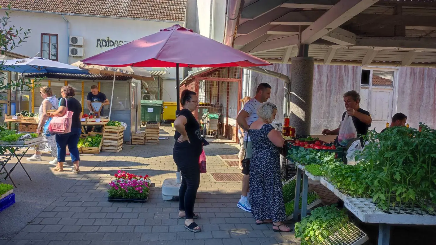 tržnica prelog,29.6 (9) tržnica prelog,29.6 (9)