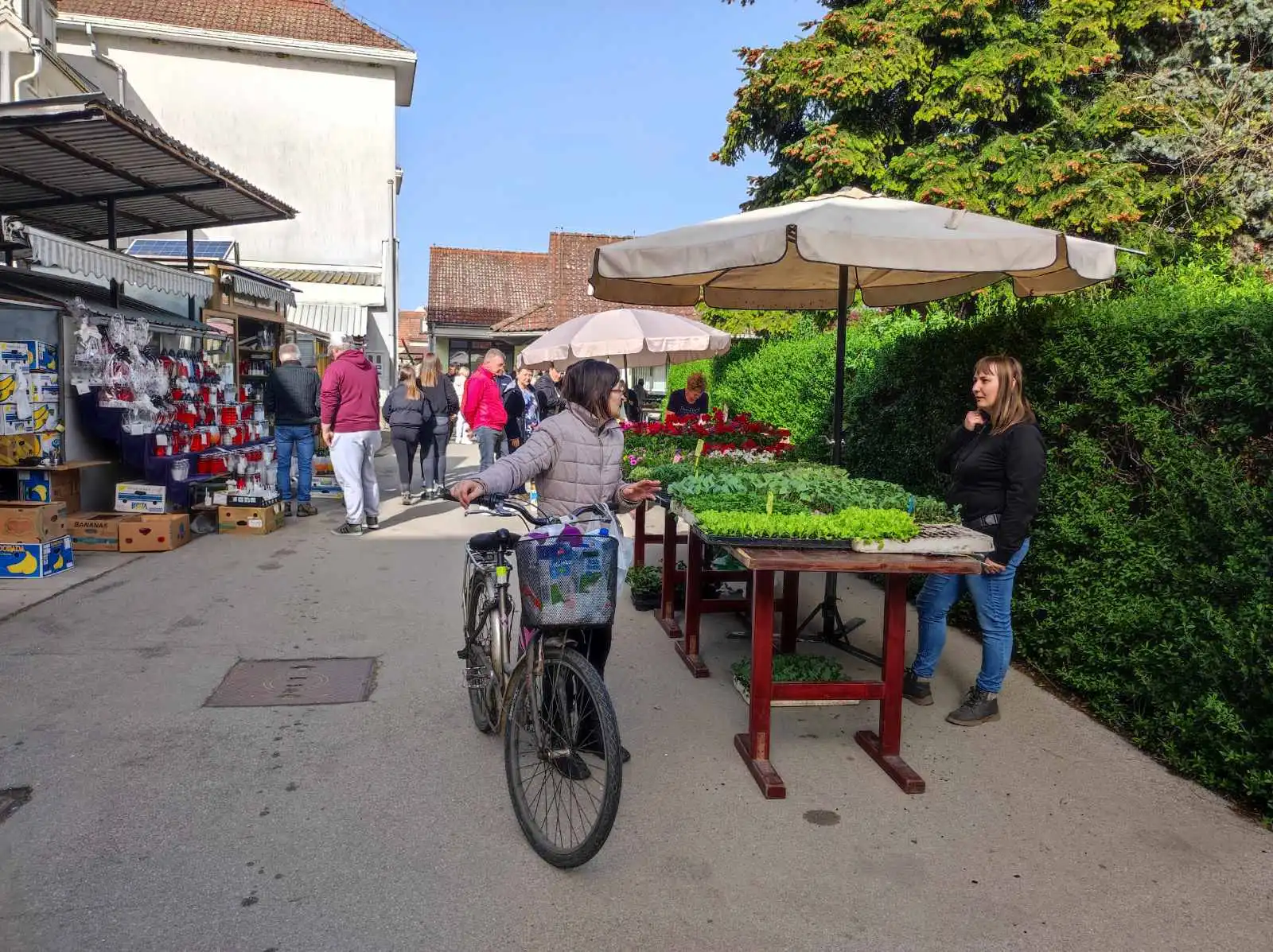 tržnica prelog,30.4 (12) tržnica prelog,30.4 (12)