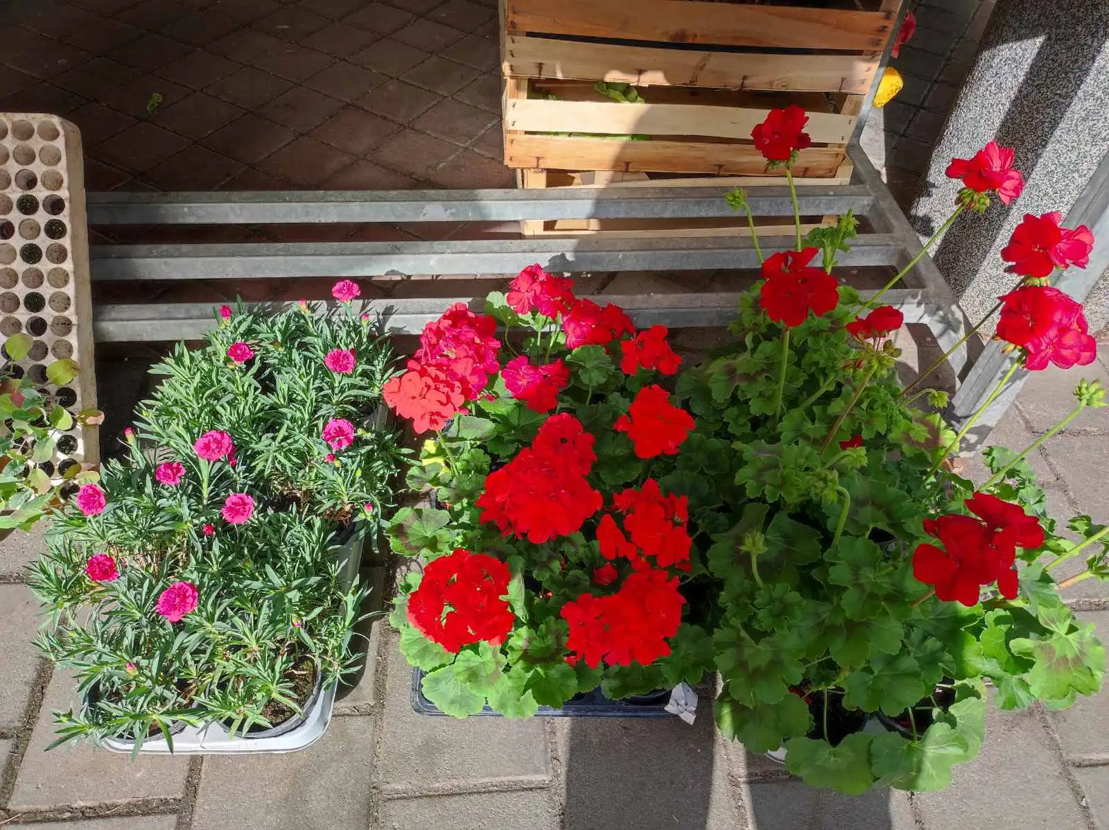 tržnica prelog,30.4 (14) tržnica prelog,30.4 (14)