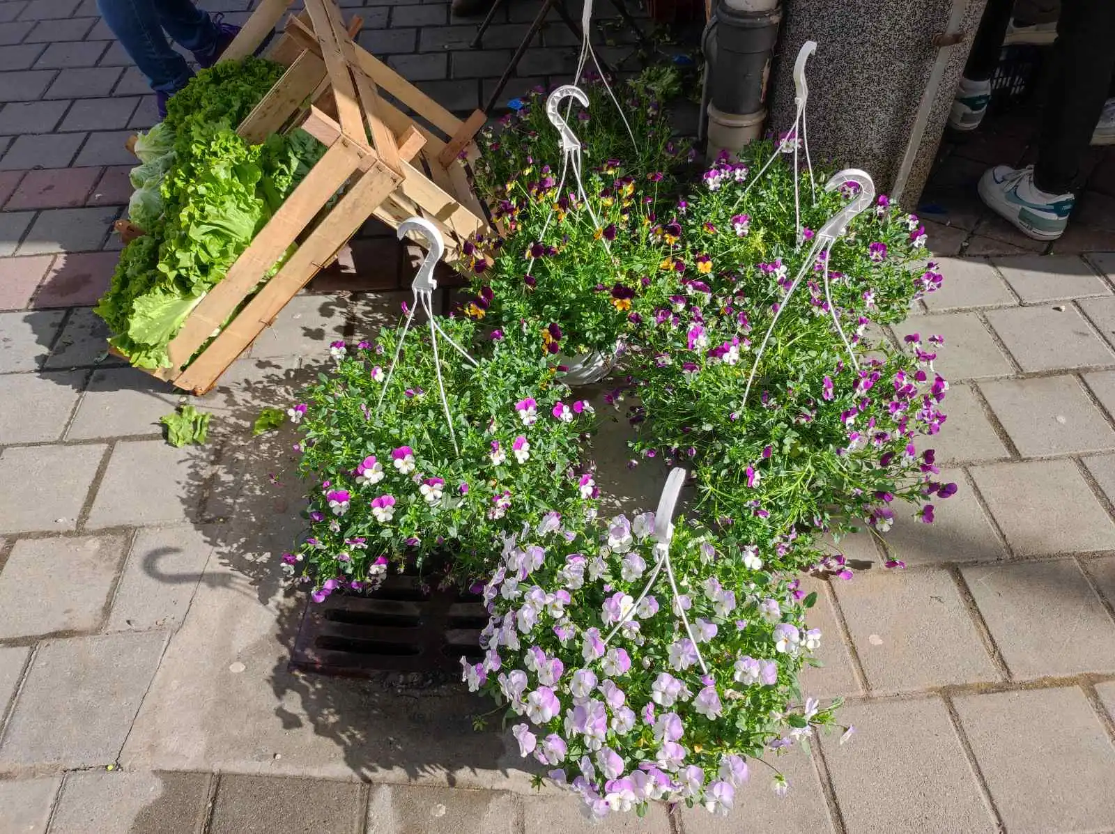 tržnica prelog,30.4 (26) tržnica prelog,30.4 (26)