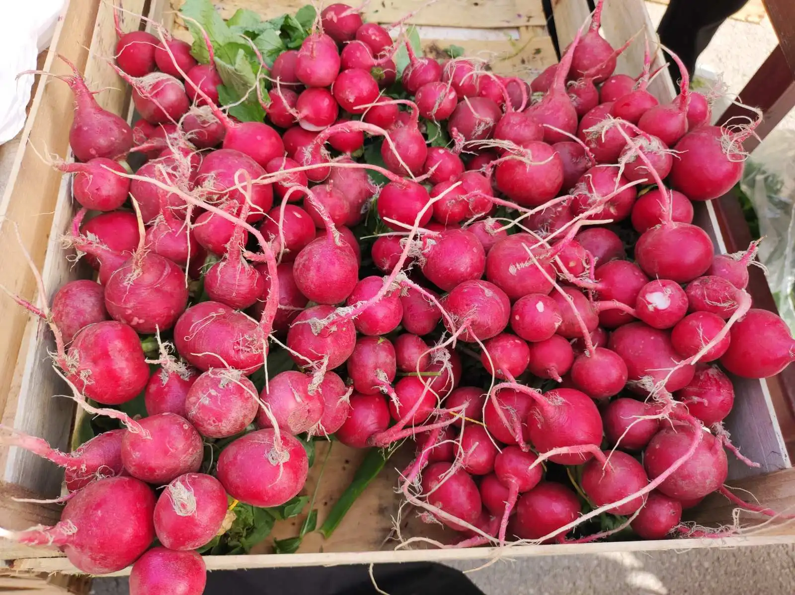 tržnica prelog,30.4 (30) tržnica prelog,30.4 (30)