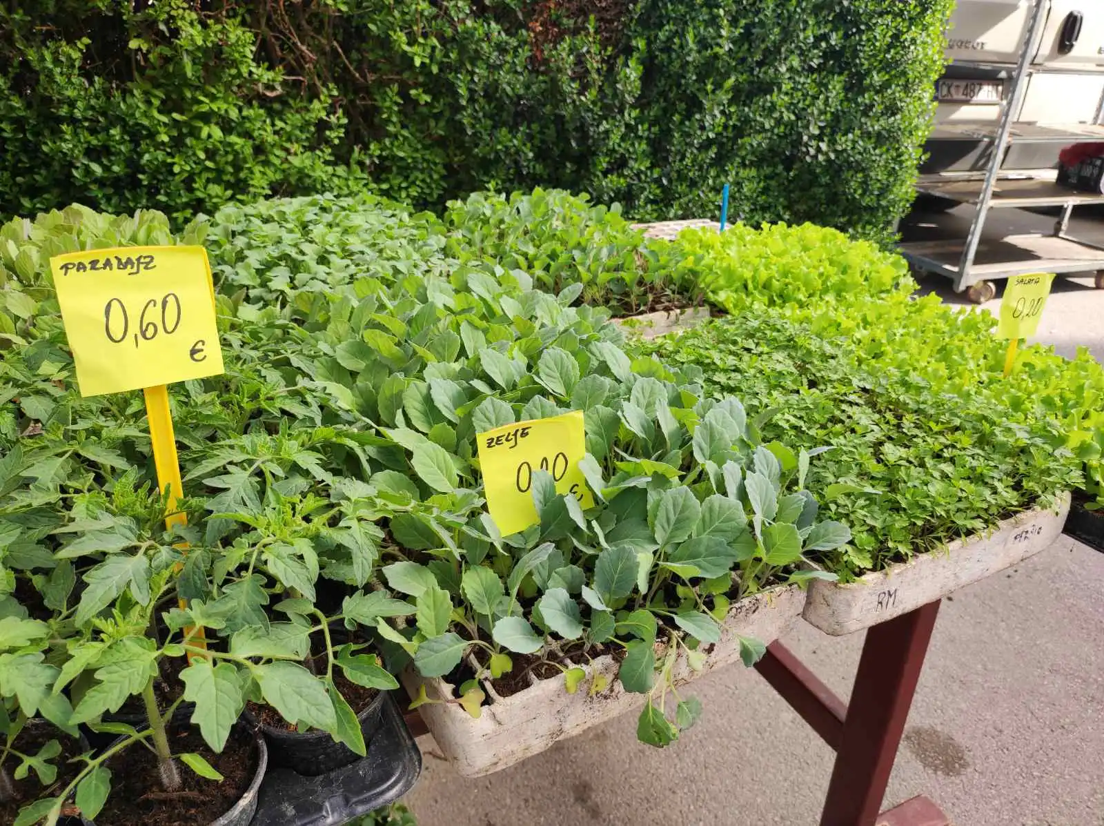 tržnica prelog,30.4 (41) tržnica prelog,30.4 (41)