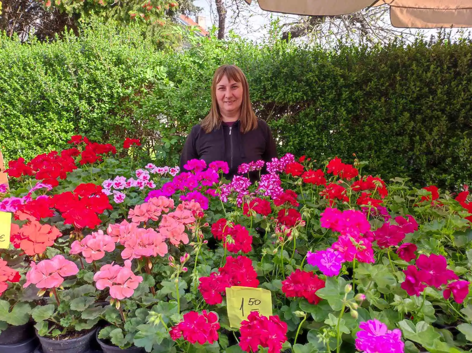 tržnica prelog,30.4 (9) tržnica prelog,30.4 (9)