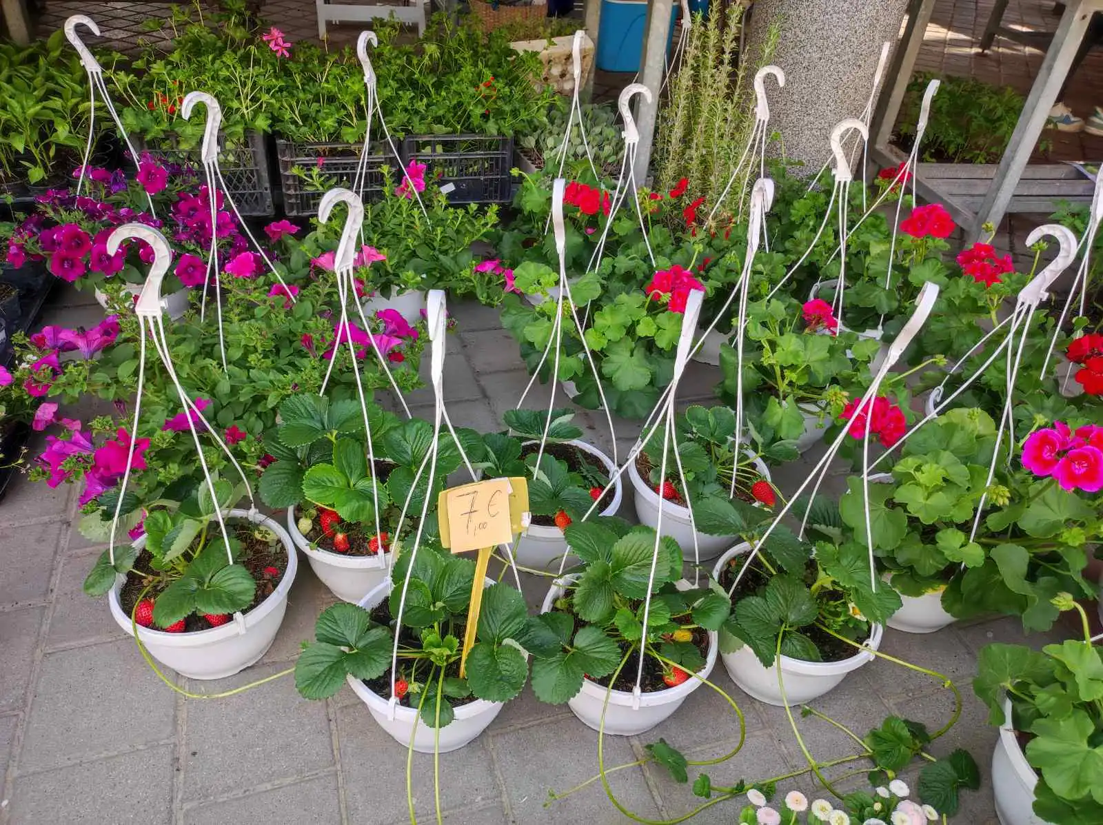 tržnica prelog,6.4 (10)