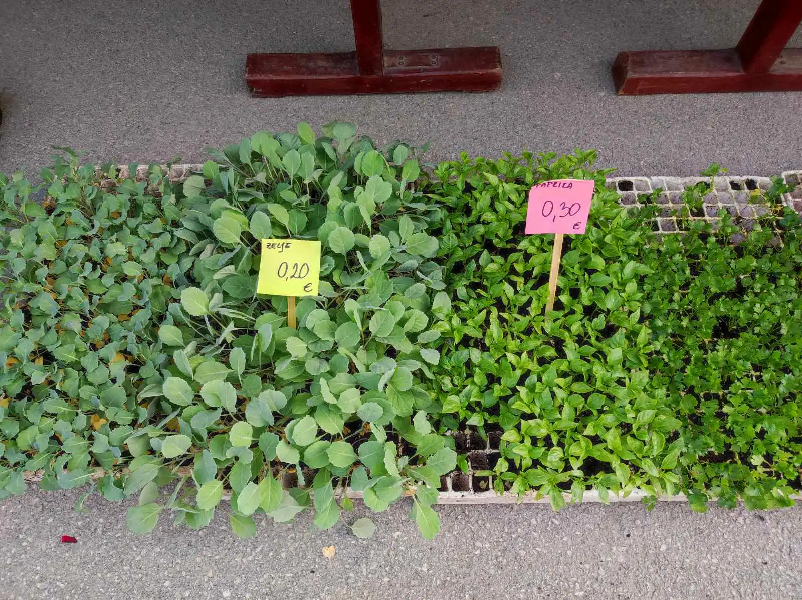 tržnica prelog,6.4 (13)