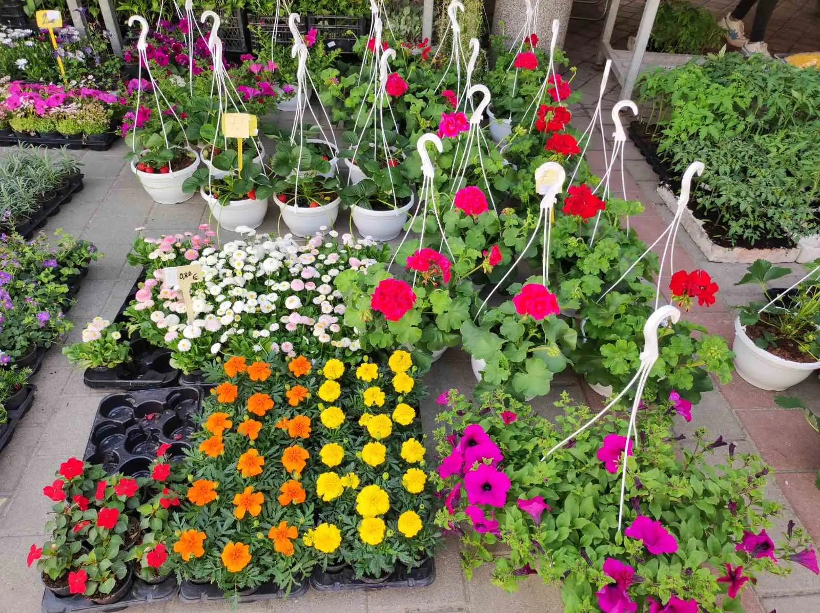 tržnica prelog,6.4 (14)