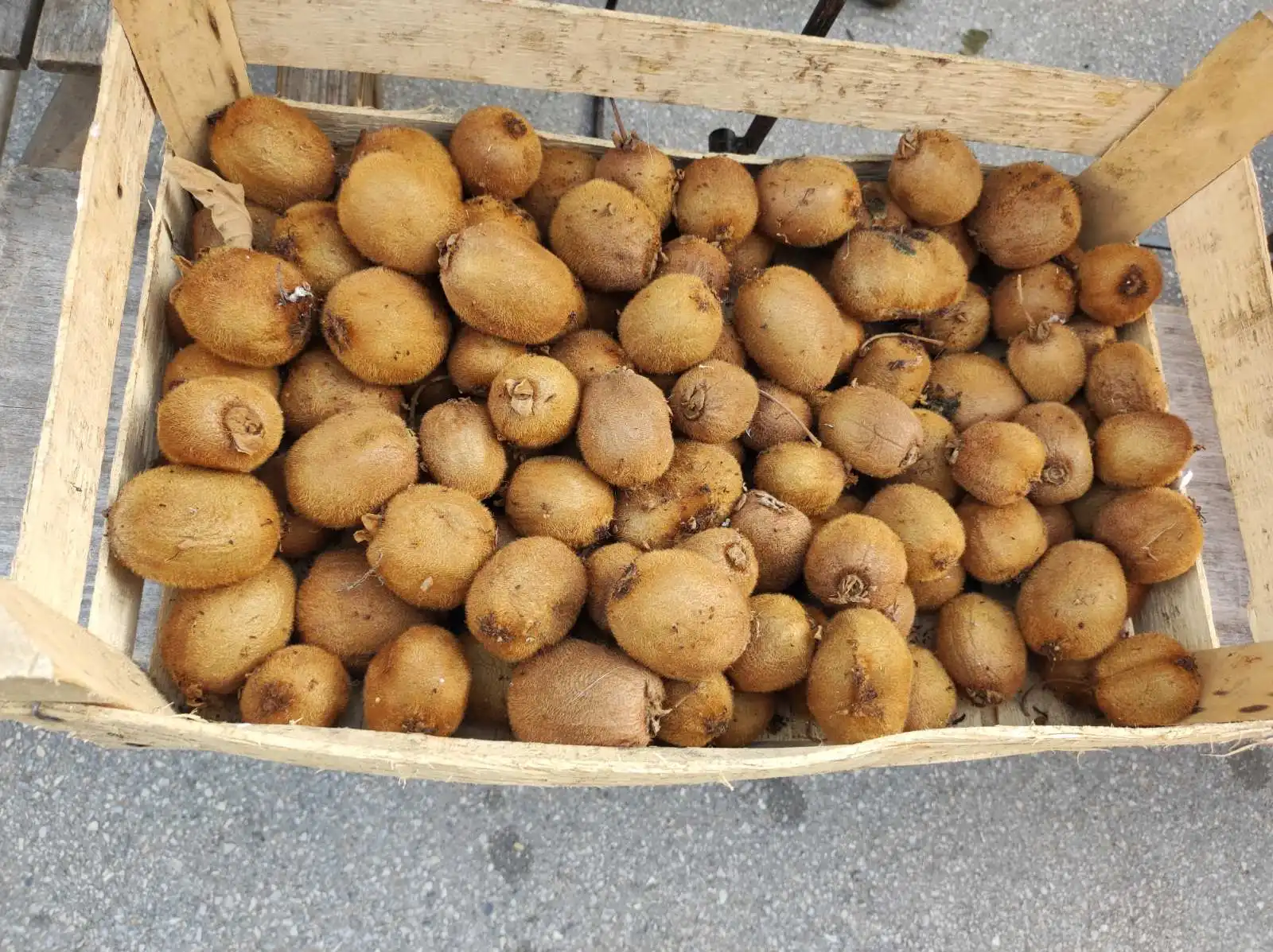 tržnica prelog,6.4 (15)