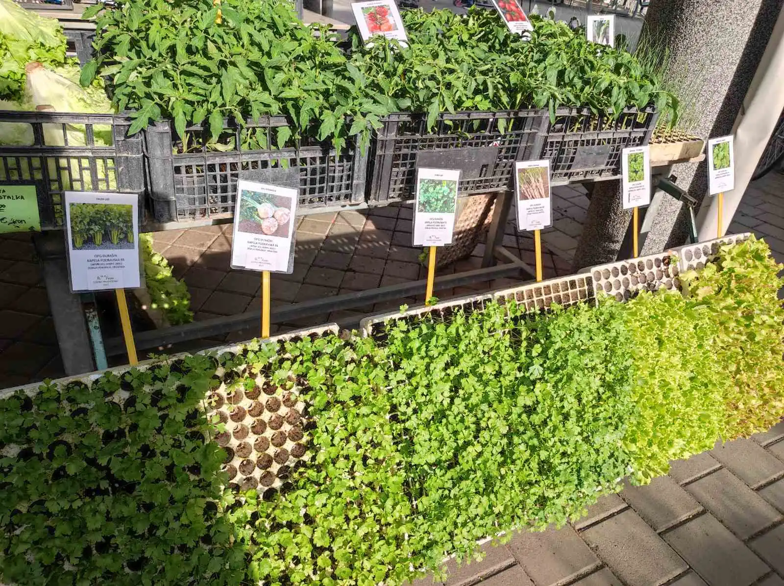 tržnica prelog,6.4 (22)