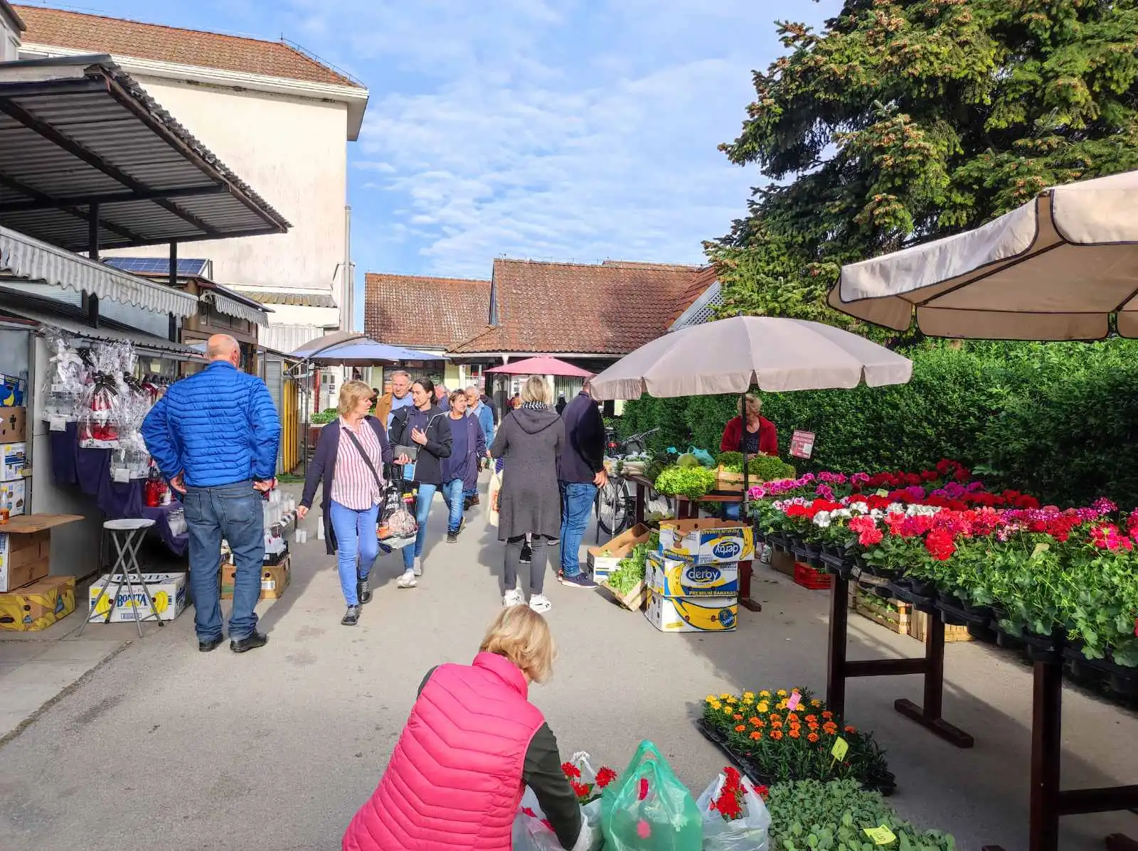 tržnica prelog,6.4 (25)