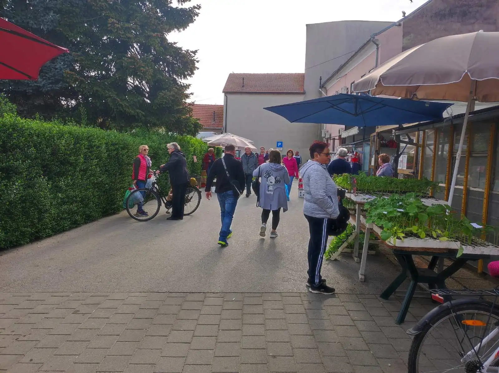 tržnica prelog,6.4 (28)