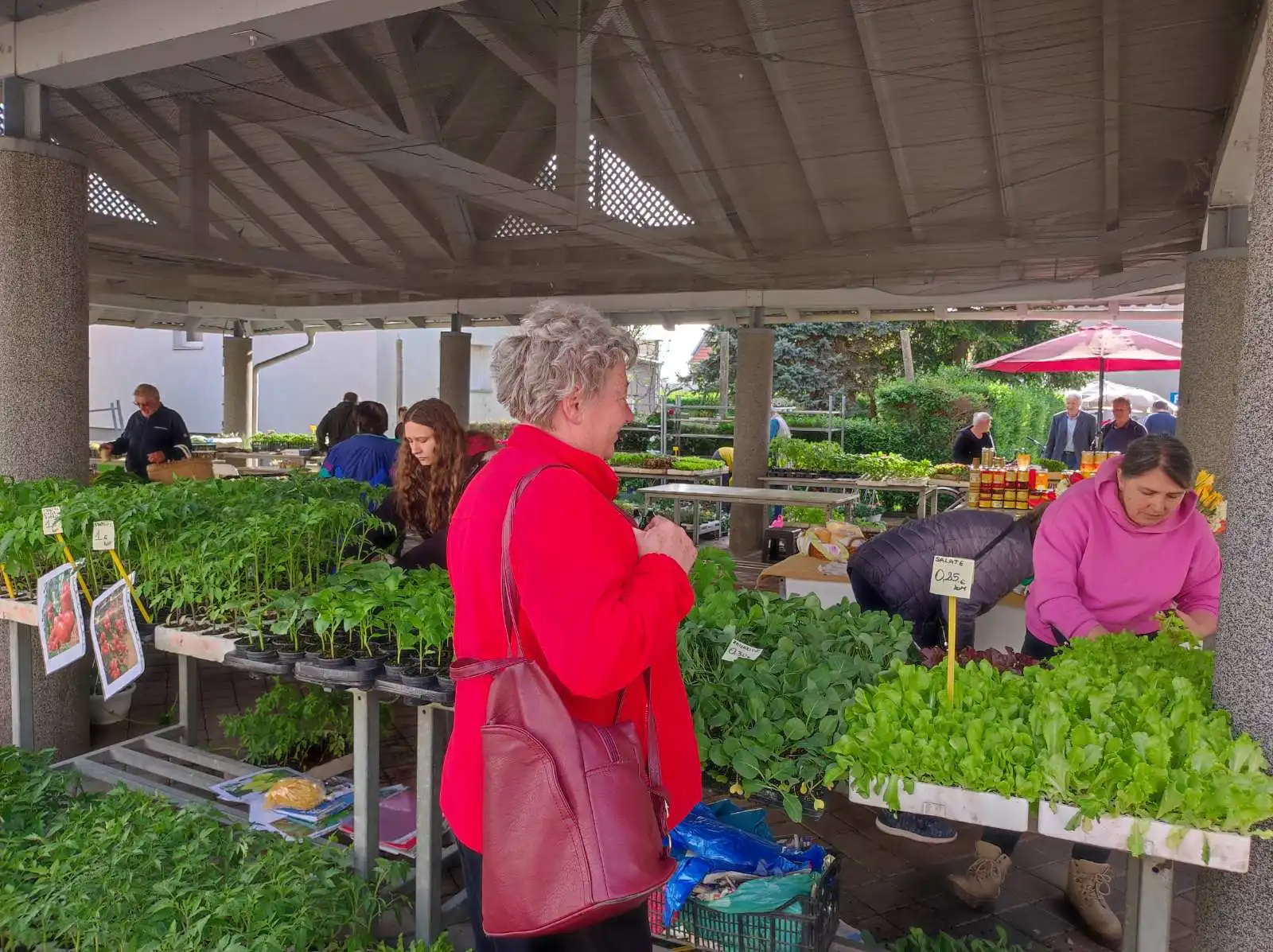 tržnica prelog,6.4 (3)