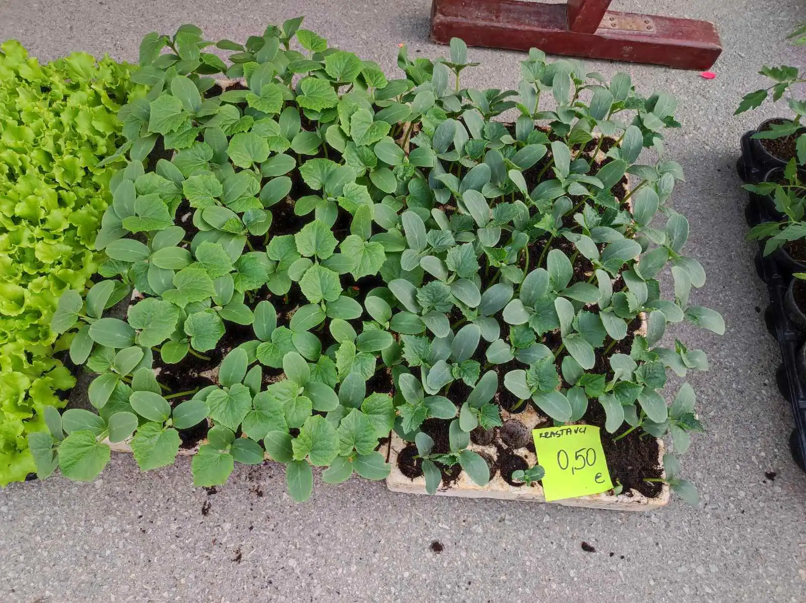 tržnica prelog,6.4 (30)