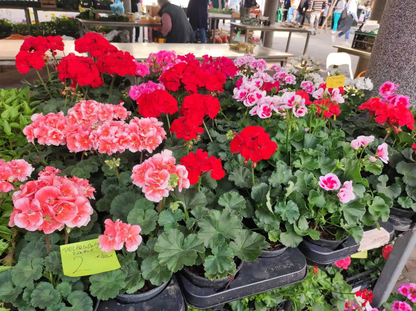 tržnica prelog,6.4 (32)