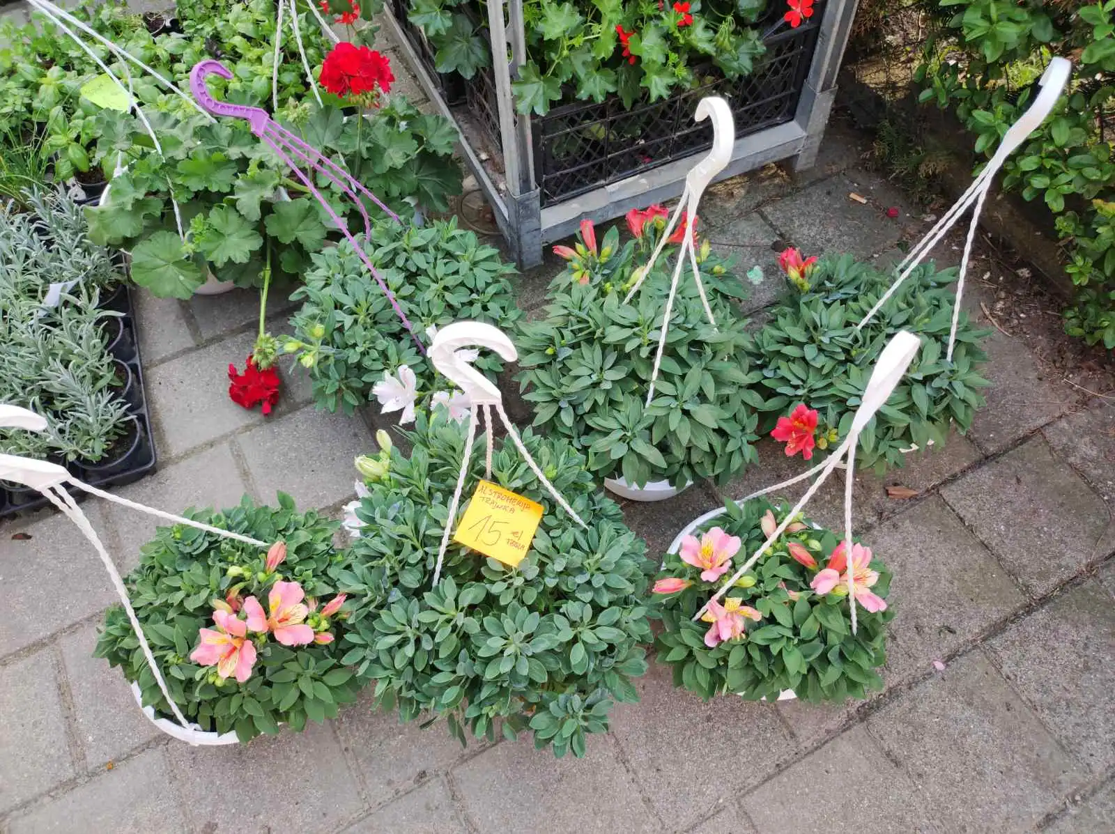 tržnica prelog,6.4 (38)