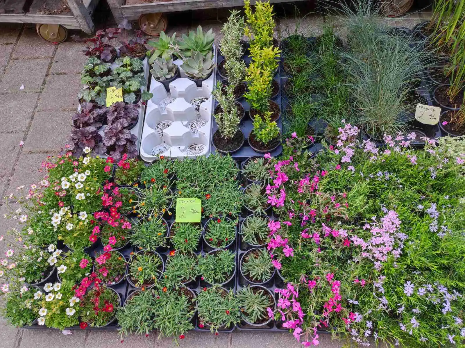 tržnica prelog,6.4 (39)