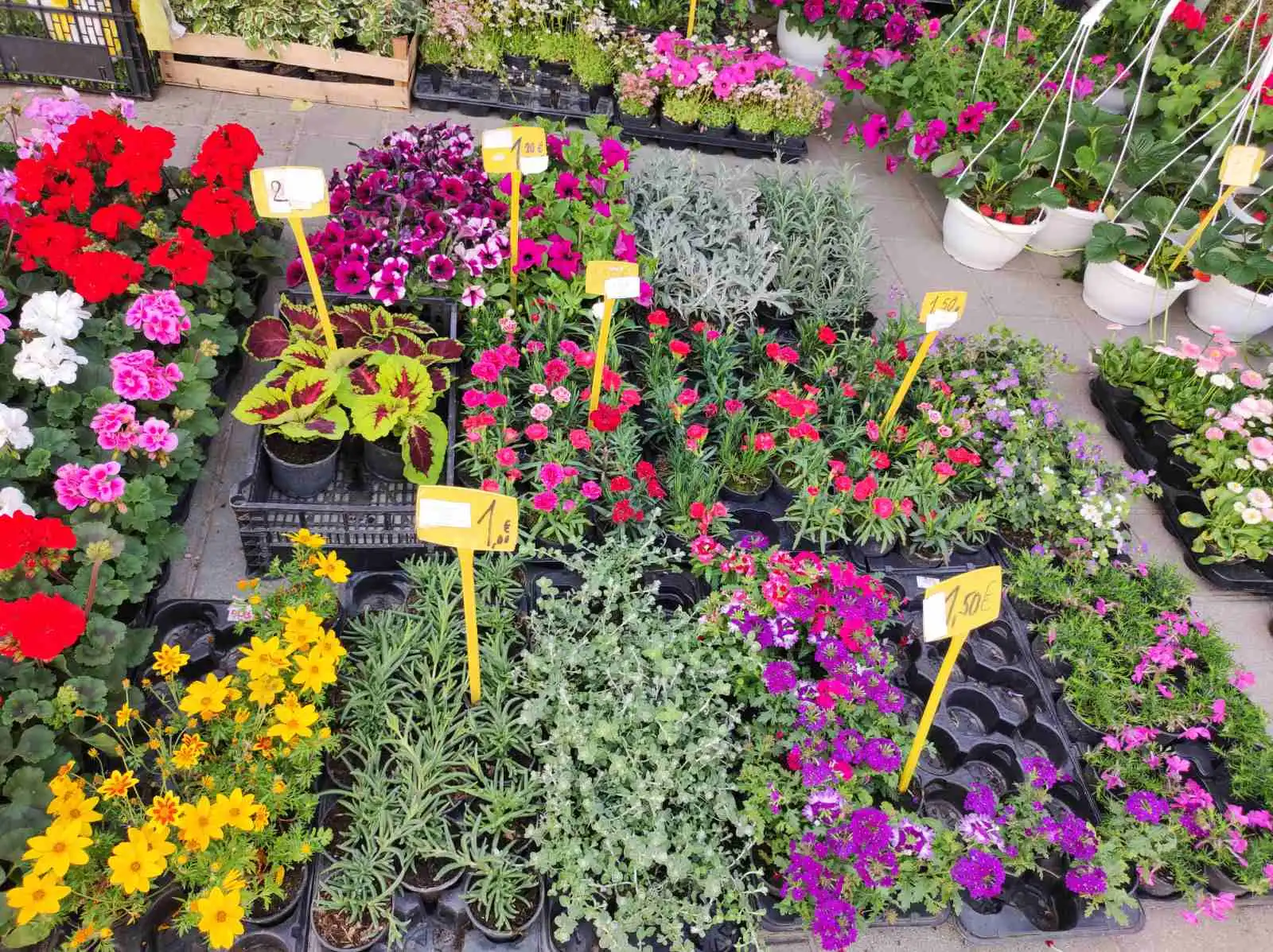 tržnica prelog,6.4 (41)