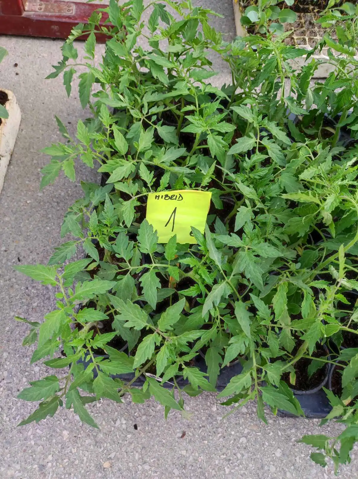 tržnica prelog,6.4 (42)