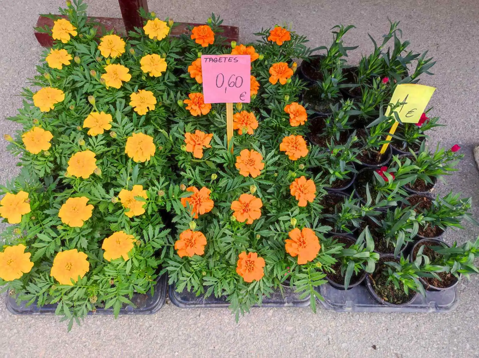 tržnica prelog,6.4 (44)