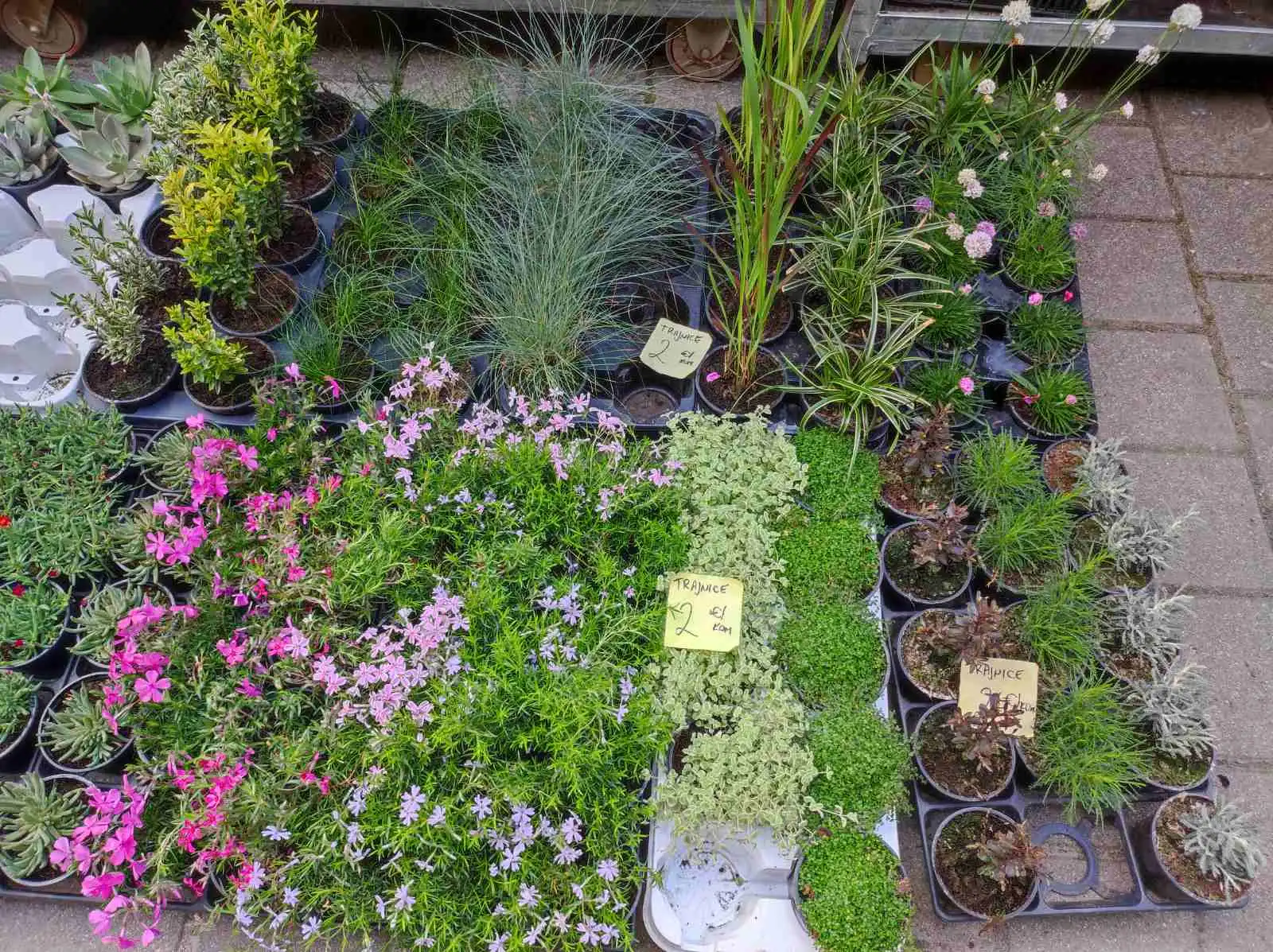 tržnica prelog,6.4 (45)