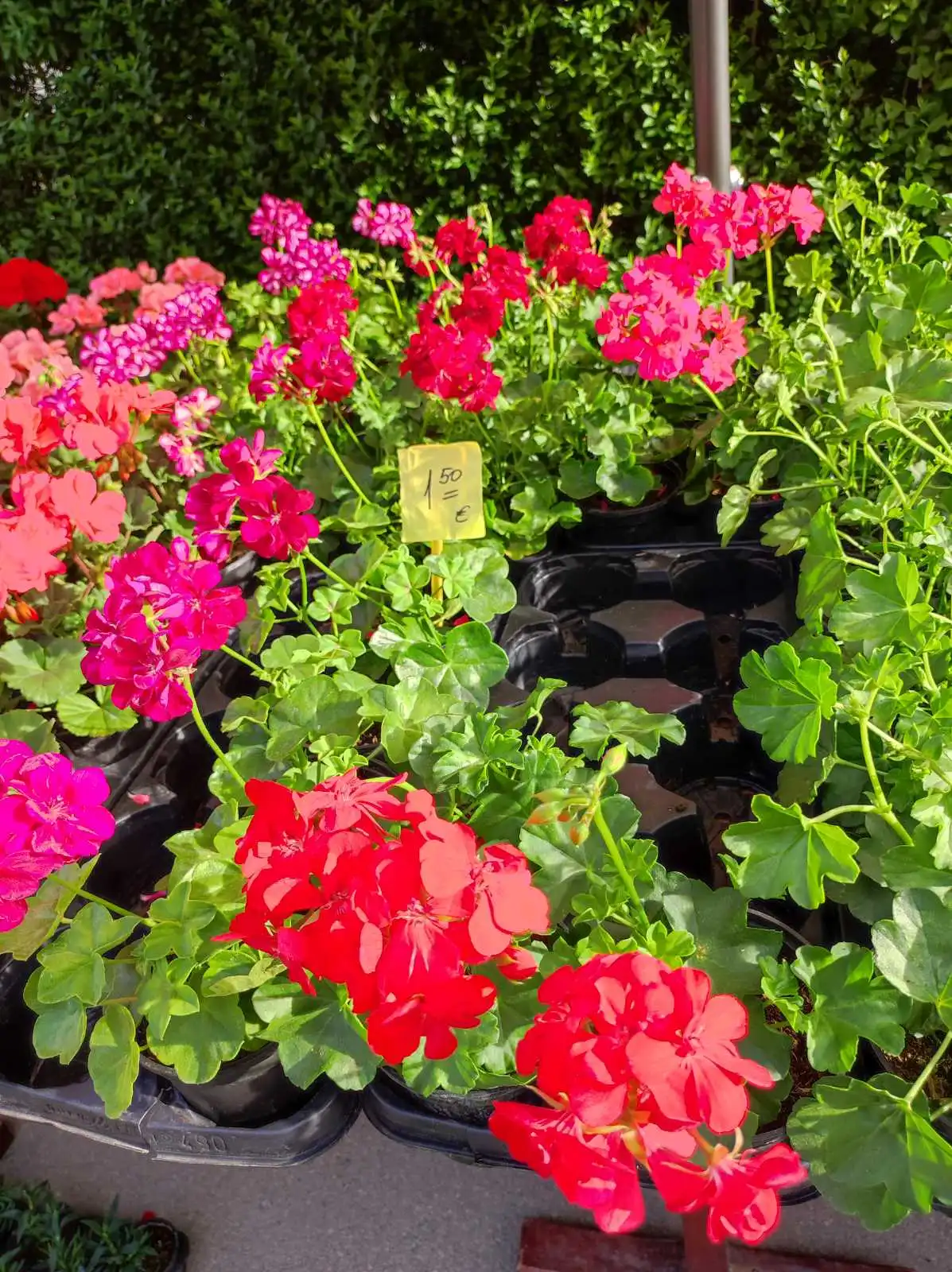 tržnica prelog,6.4 (46)