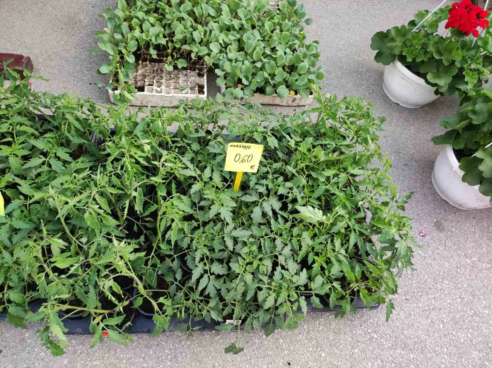 tržnica prelog,6.4 (47)