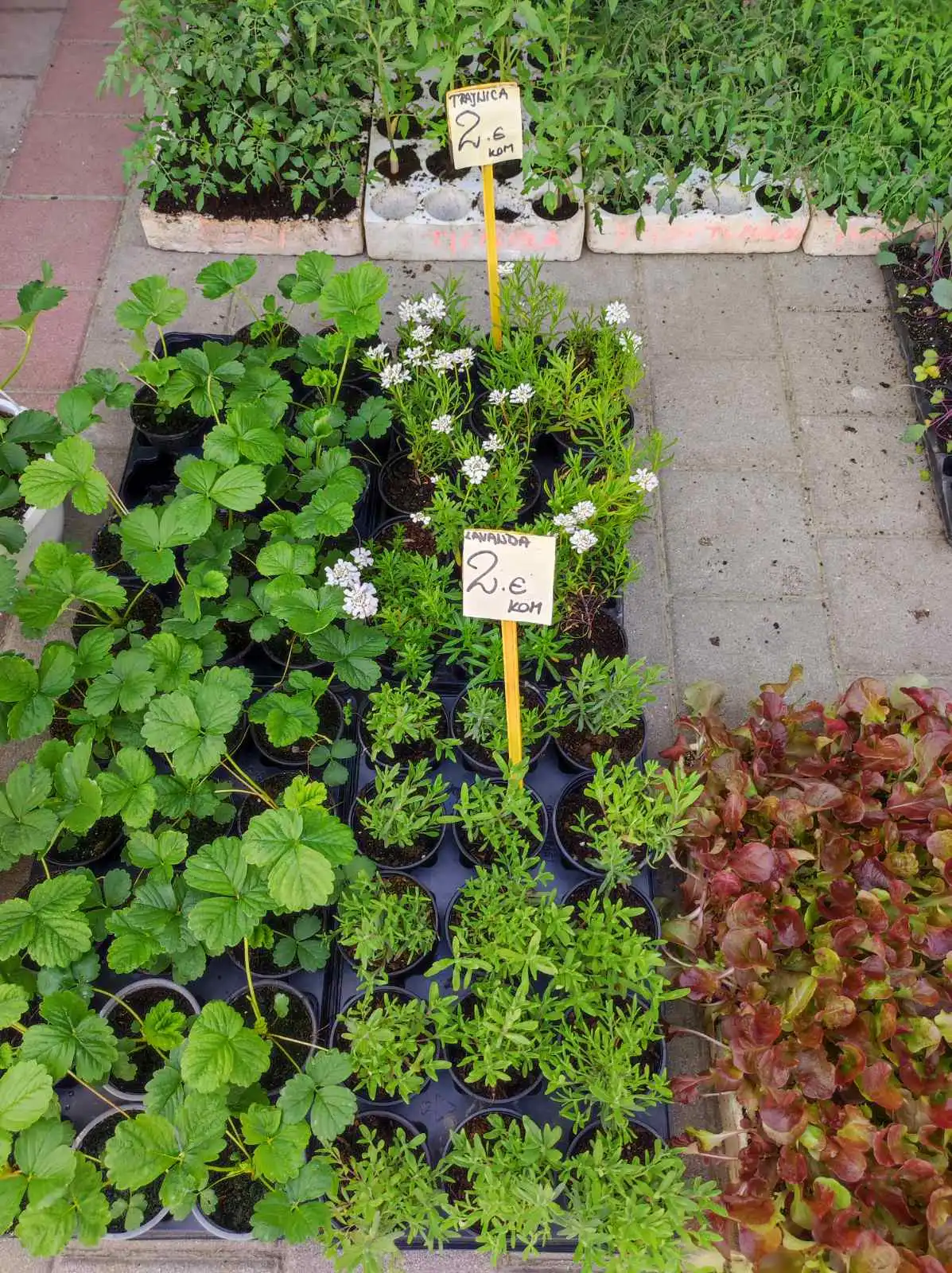 tržnica prelog,6.4 (48)