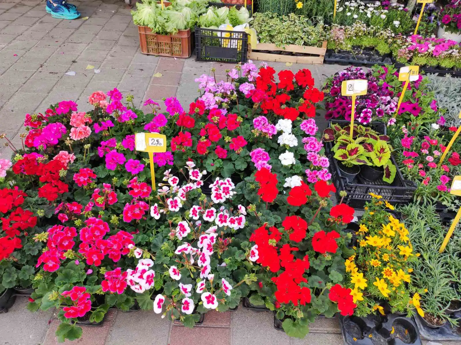 tržnica prelog,6.4 (49)