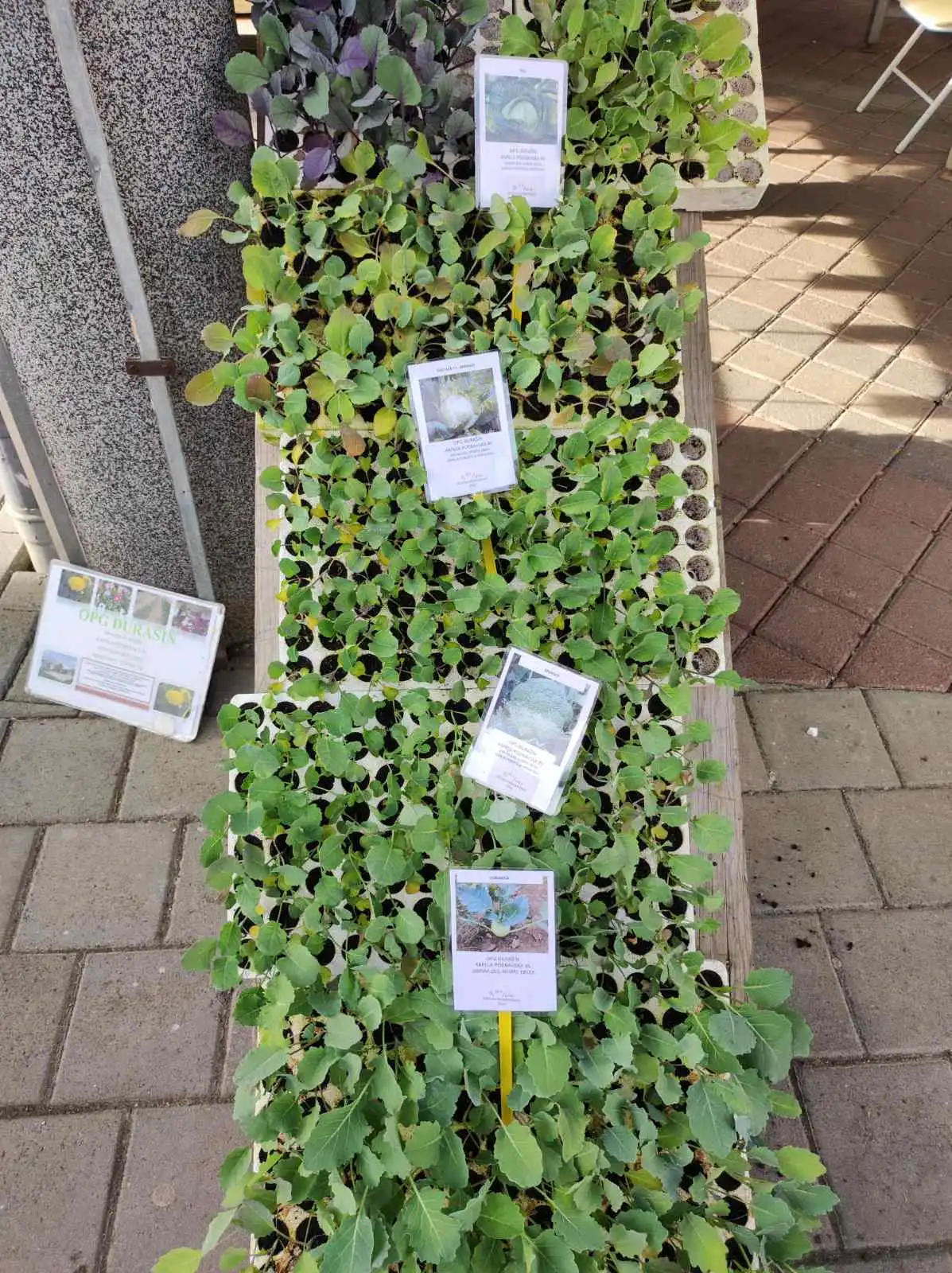 tržnica prelog,6.4 (7)