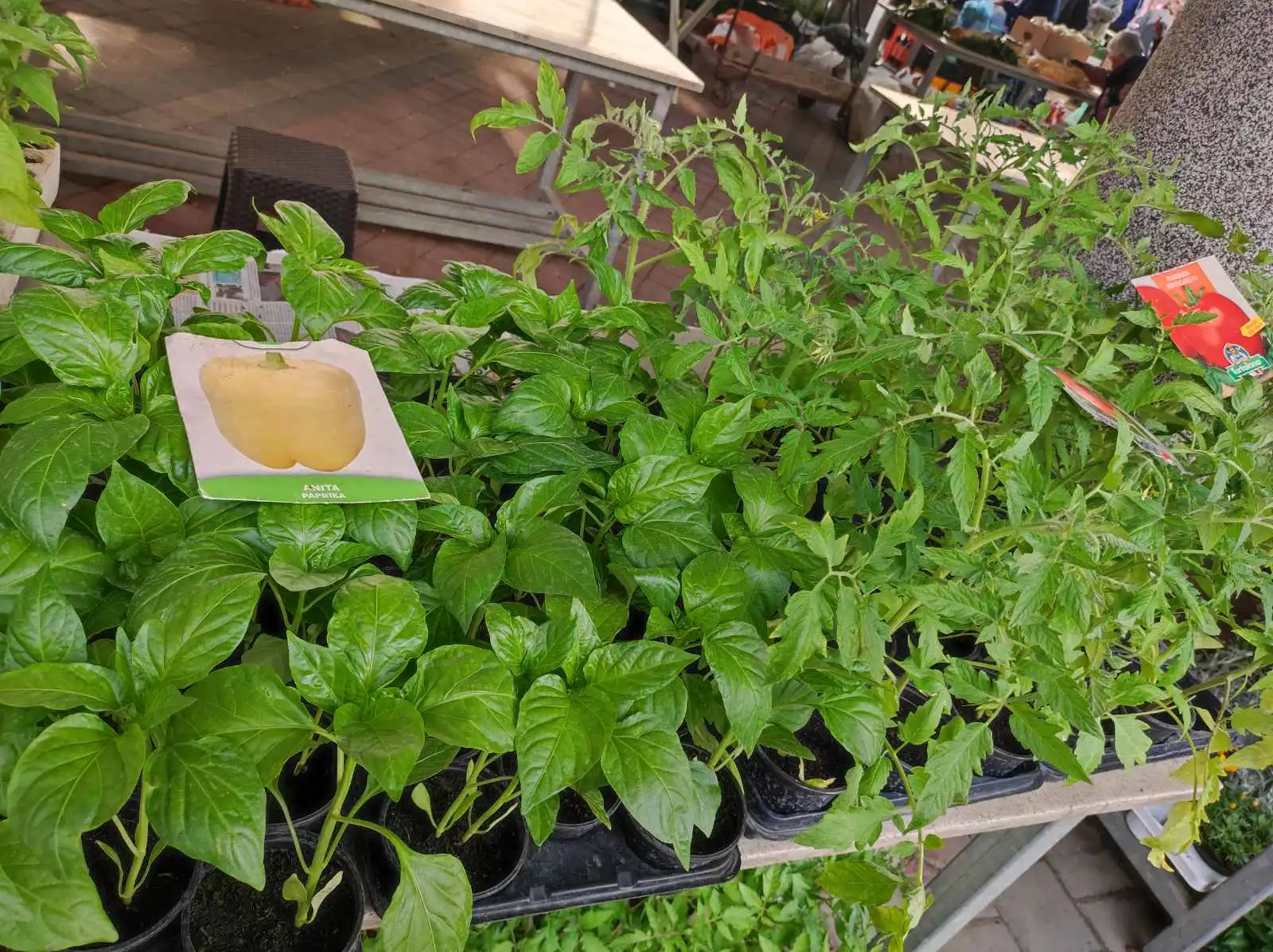 tržnica prelog,6.4 (8)