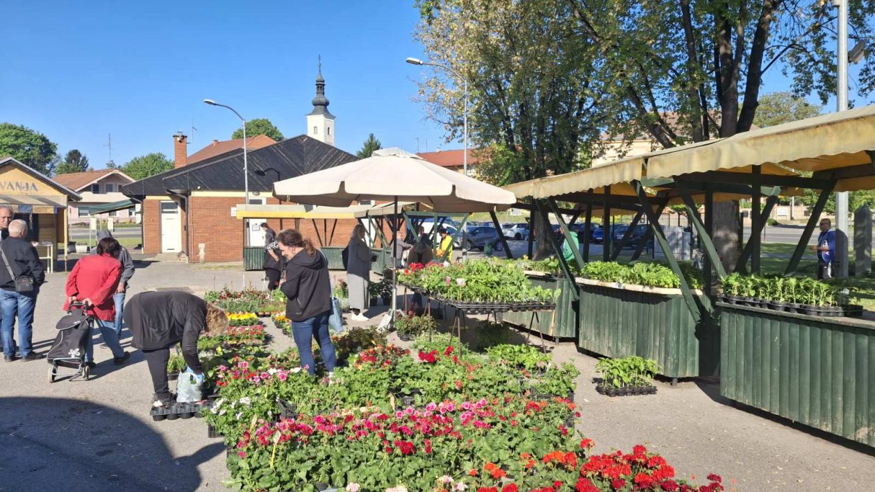 trznica svibanj mursko sredisce (1)