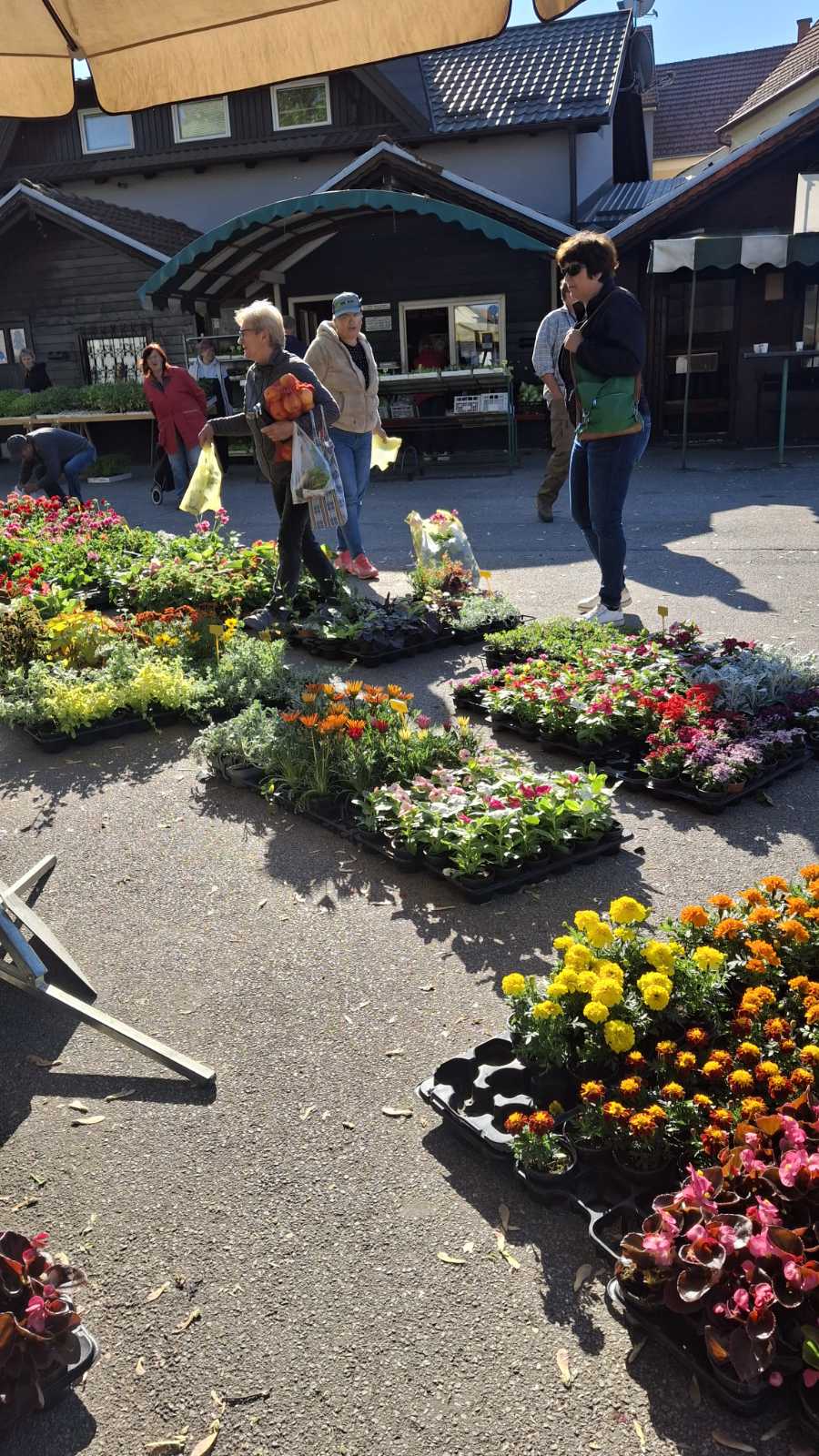 trznica svibanj mursko sredisce (8)