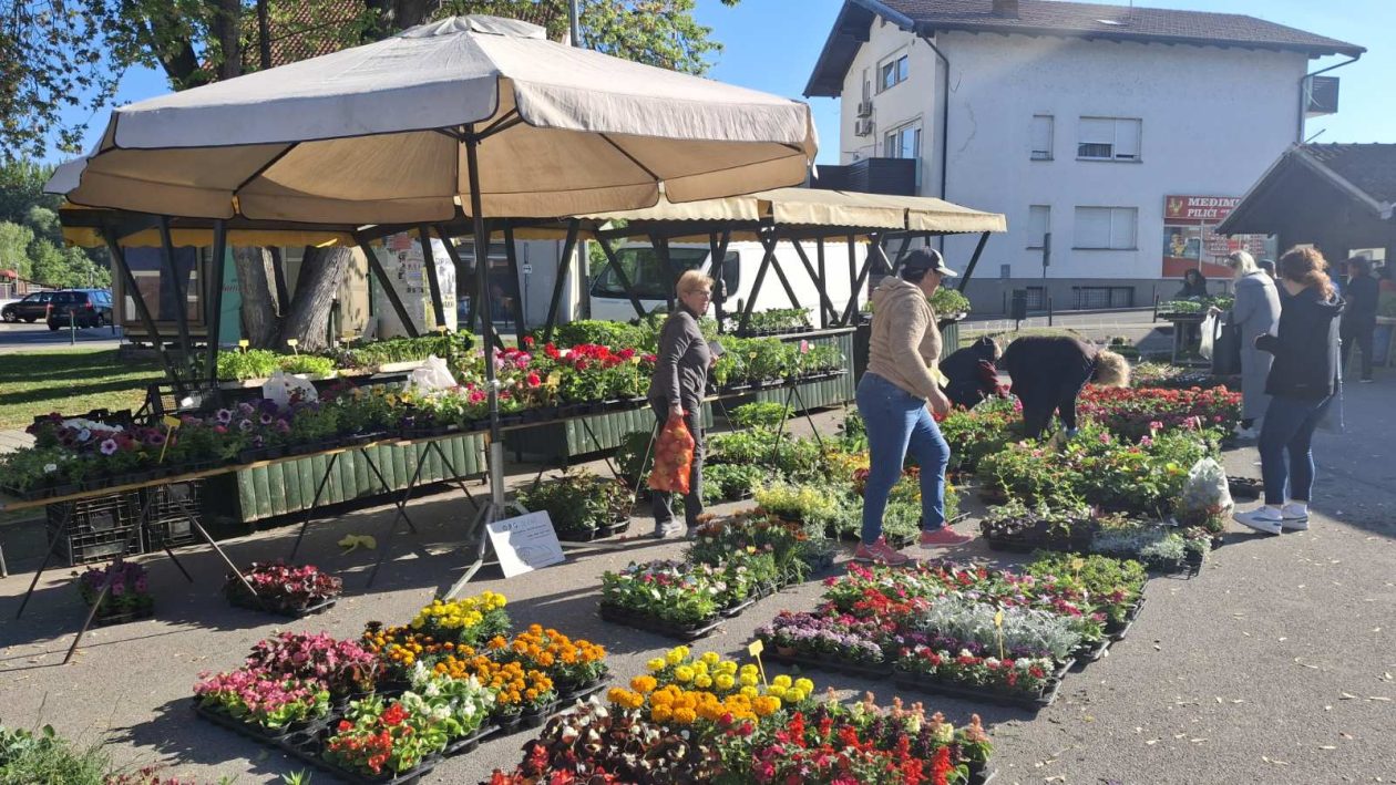 trznica svibanj mursko sredisce (9)