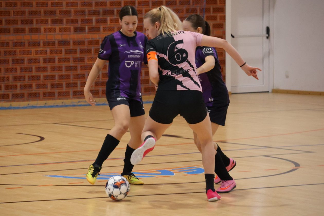 turnir malonogometni Dinamo Domašinec (45)