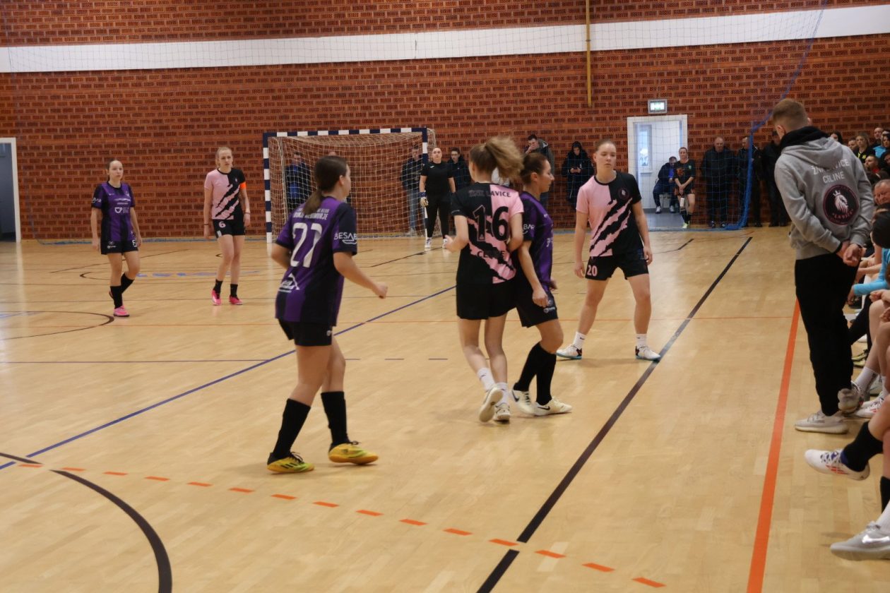 turnir malonogometni Dinamo Domašinec (50)