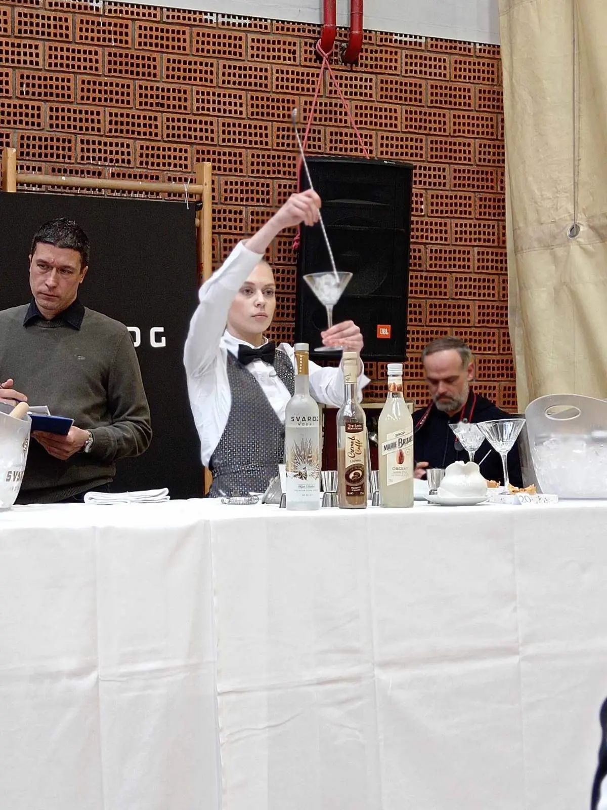 učenice srednje škole prelog,ema krnjak,lana pianec (11)