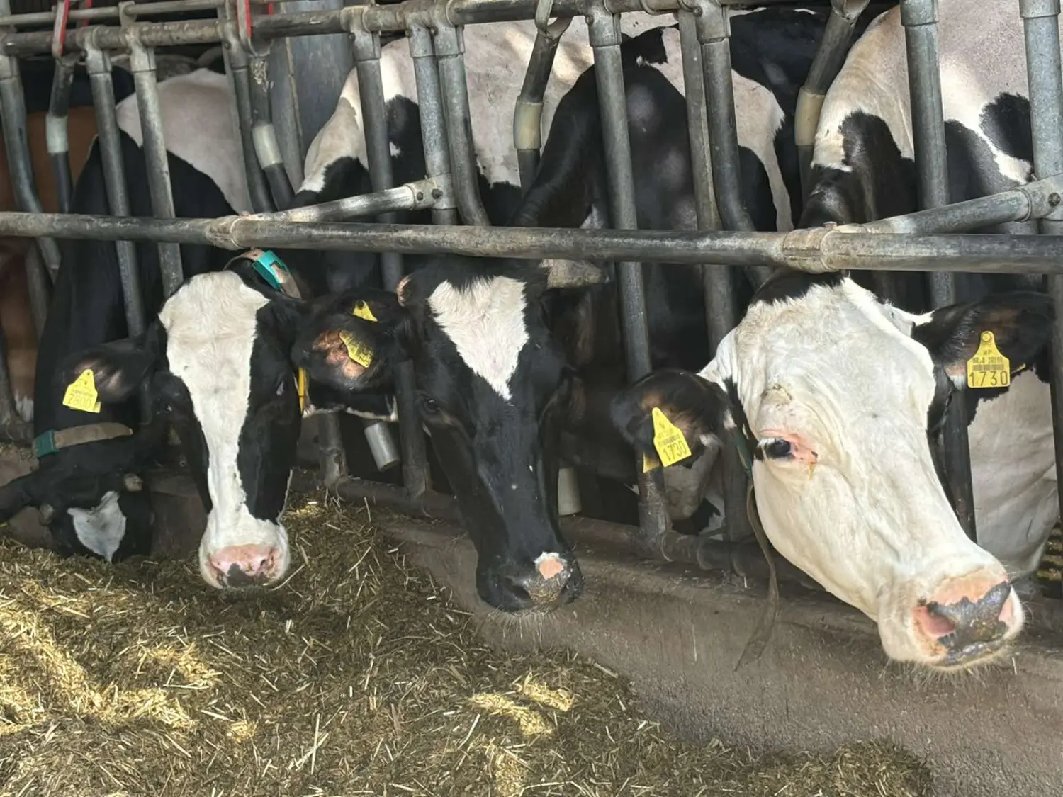 učenici III. OŠ Čakovec,terenska nastava (10)