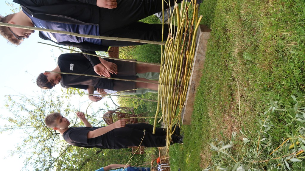 učenici,oš ivana gorana kovačića,mirjana biber hren (15) učenici,oš ivana gorana kovačića,mirjana biber hren (15)