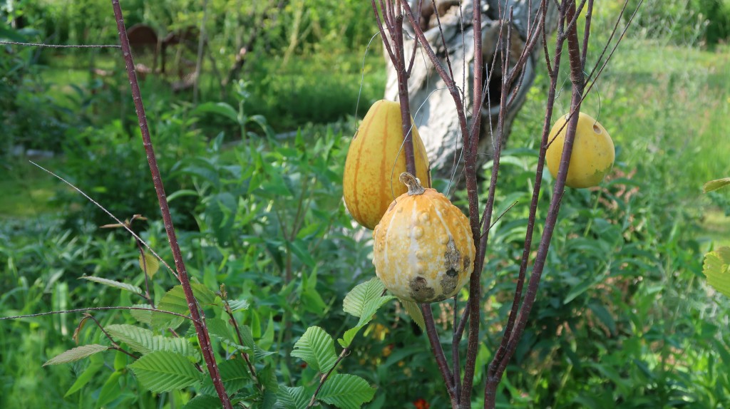 učenici,oš ivana gorana kovačića,mirjana biber hren (17) učenici,oš ivana gorana kovačića,mirjana biber hren (17)