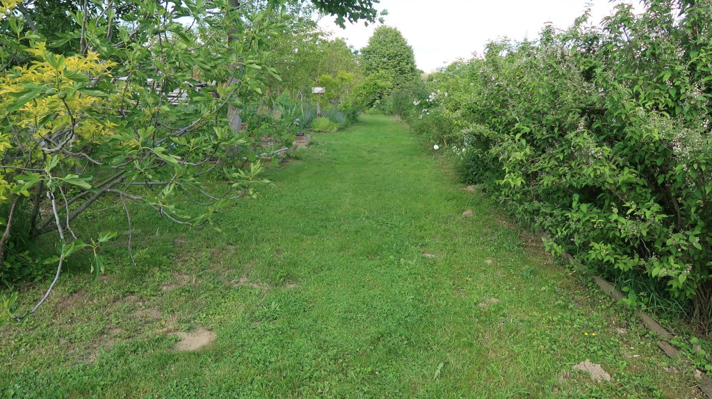 učenici,oš ivana gorana kovačića,mirjana biber hren (18) učenici,oš ivana gorana kovačića,mirjana biber hren (18)