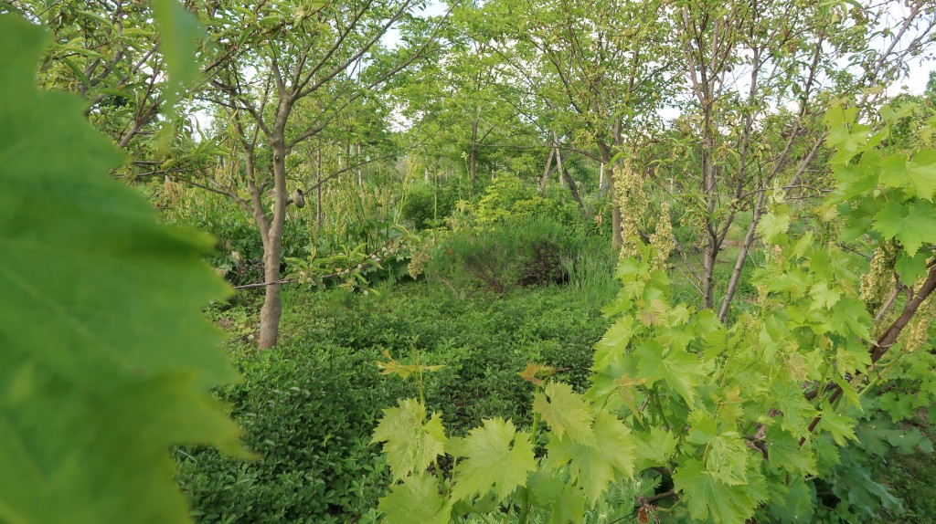 učenici,oš ivana gorana kovačića,mirjana biber hren (21) učenici,oš ivana gorana kovačića,mirjana biber hren (21)