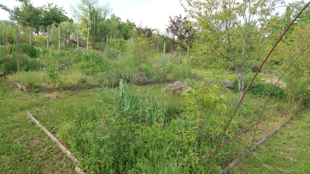 učenici,oš ivana gorana kovačića,mirjana biber hren (22) učenici,oš ivana gorana kovačića,mirjana biber hren (22)