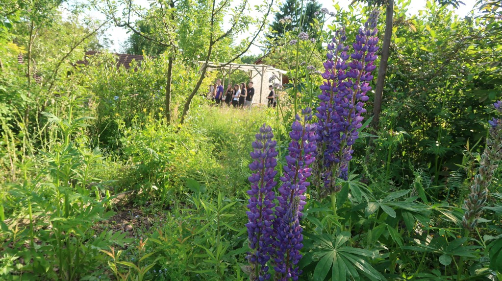 učenici,oš ivana gorana kovačića,mirjana biber hren (23) učenici,oš ivana gorana kovačića,mirjana biber hren (23)