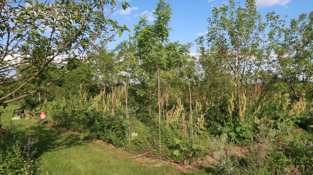 učenici,oš ivana gorana kovačića,mirjana biber hren (24) učenici,oš ivana gorana kovačića,mirjana biber hren (24)