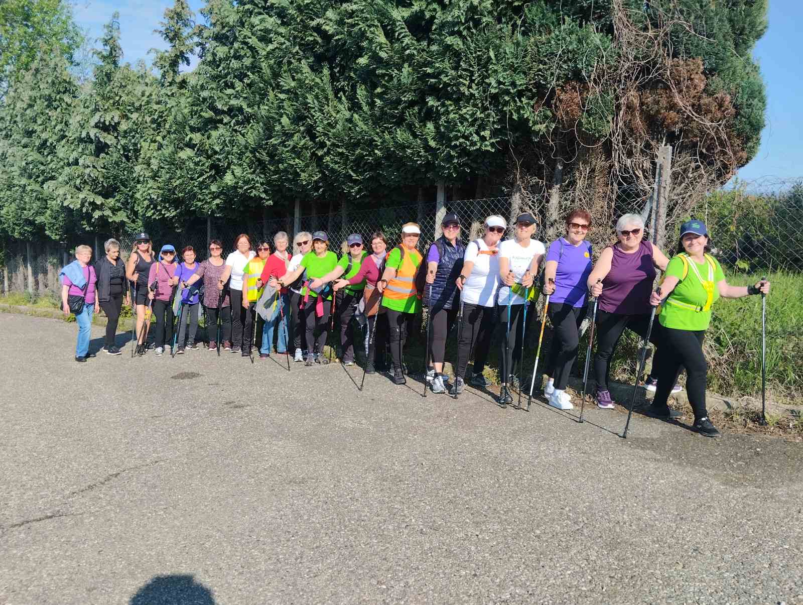 udruga breza, brezje (3) udruga breza, brezje (3)