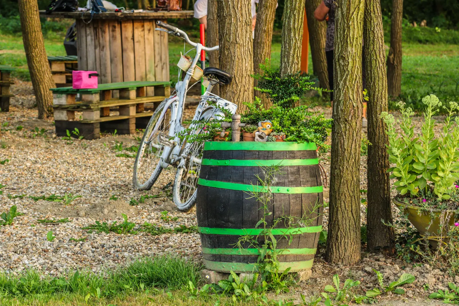 udruga sport za sve zgorčan (10) udruga sport za sve zgorčan (10)