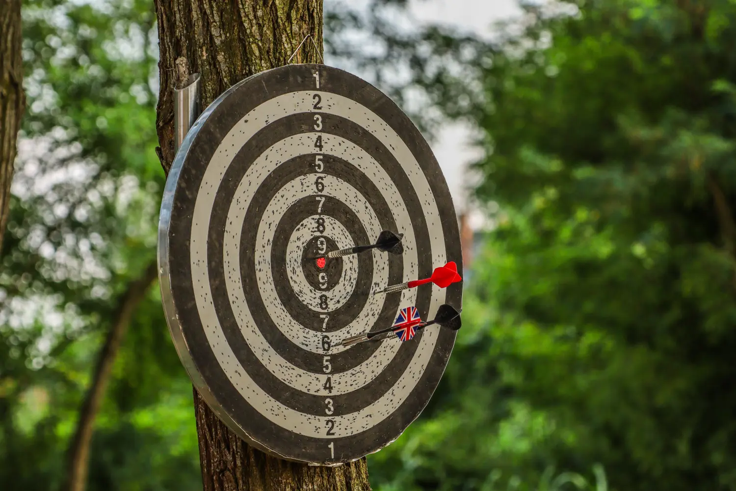 udruga sport za sve zgorčan (6) udruga sport za sve zgorčan (6)